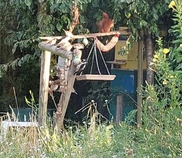 Wachtum Apartment | Logeerruimte in gerenoveerde boerderij in Wachtum