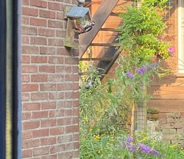Wachtum Apartment | Logeerruimte in gerenoveerde boerderij in Wachtum