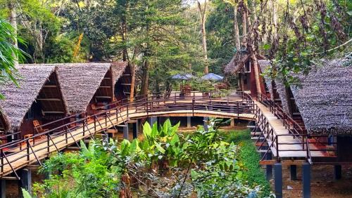 Andasibe Cabin | Longoza Ecolodge