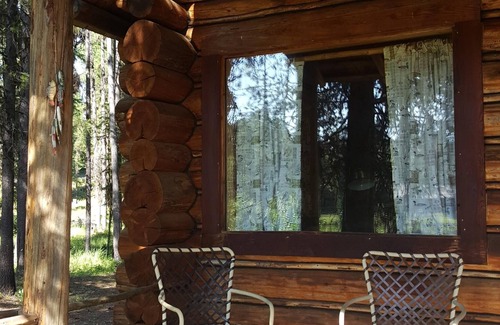 Condon Cabin | "Loon's Nest" rustic cabin hidden amongst the pines