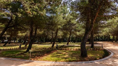 Nerezine Other | Lopari Camping Resort