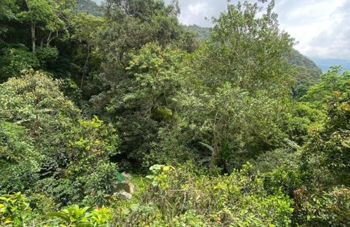 La Vega House | Los Naranjos Hostal