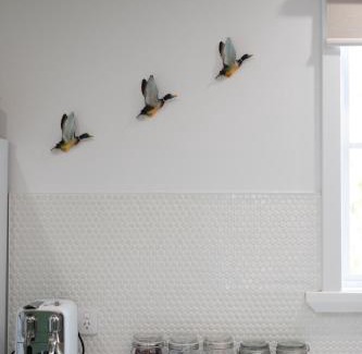 West Launceston House | Lotti's Cottage, West Launceston