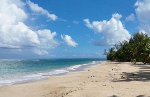 Las Terrenas Apartment | Louisa Apart-Hotel Las Ballenas