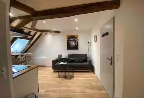 Bourges Apartment | Love Room en centre ville avec Jacuzzi