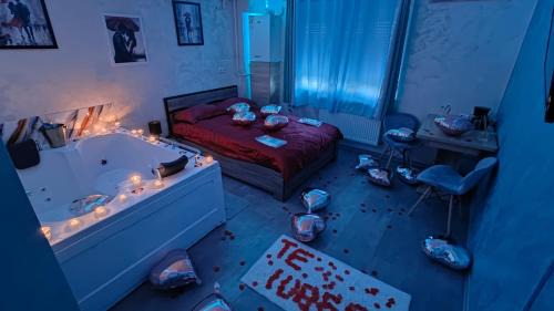 Baia Mare Apartment | Love Room