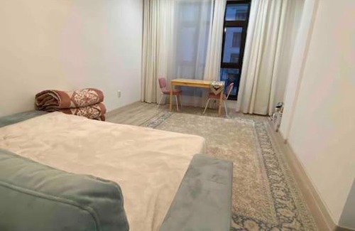 Bishkek Apartment | Lovely 1 room apartment in Bishkek