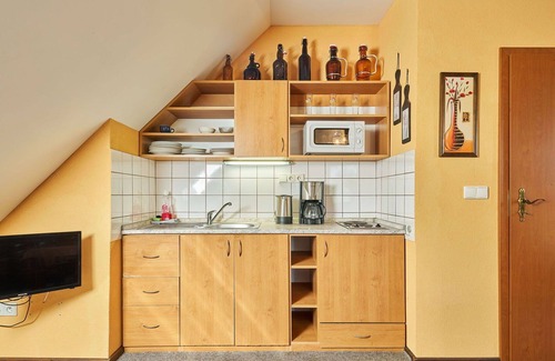 Starkov Villa | Lovely apartment in villa for 4 guests with pool, WIFI, TV, patio and pets allowed