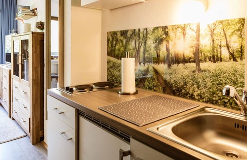 Ellmau Apartment | Lovely apartment for 2 people with WIFI, TV, terrace and pets allowed