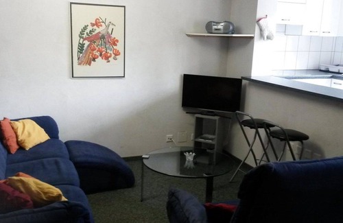 Fiesch Apartment | Lovely apartment for 5 people with WIFI, TV and pets allowed