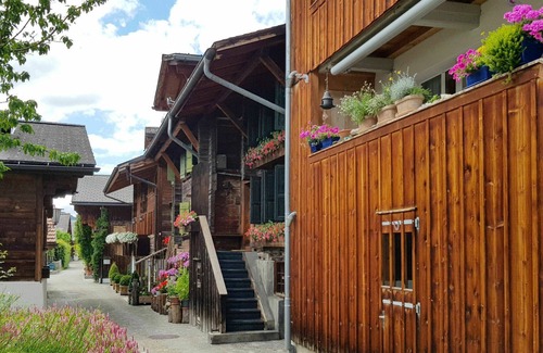 Saanen Apartment | Lovely apartment for 8 people with WIFI, TV and terrace