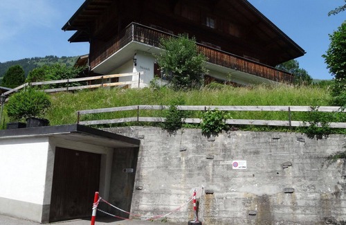 Lenk Apartment | Lovely apartment for 8 people with WIFI, balcony and pets allowed