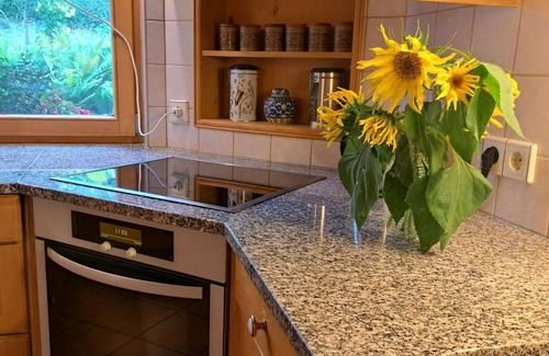 Maishofen Apartment | Lovely apartment for 5 people with WIFI, TV, patio, pets allowed and parking