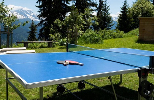 Riederalp Apartment | Lovely apartment for 5 guests with WIFI, TV, balcony and pets allowed