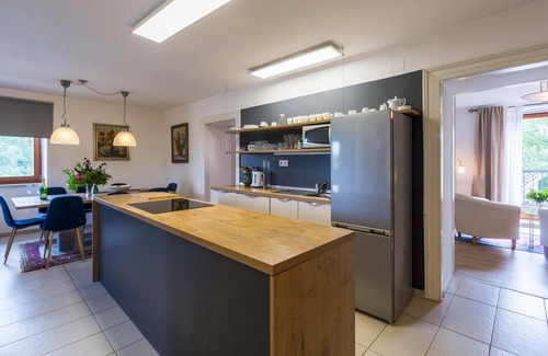 Zbandaj Apartment | Lovely apartment in Porec with kitchen