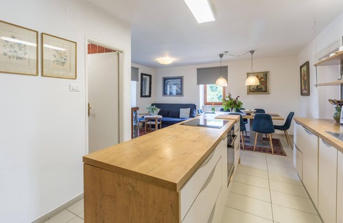 Zbandaj Apartment | Lovely apartment in Porec with kitchen