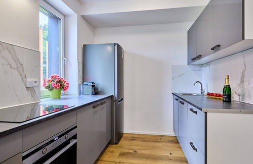 Svoboda nad Upou Apartment | Lovely apartment for 4 guests with WIFI, TV, terrace and pets allowed