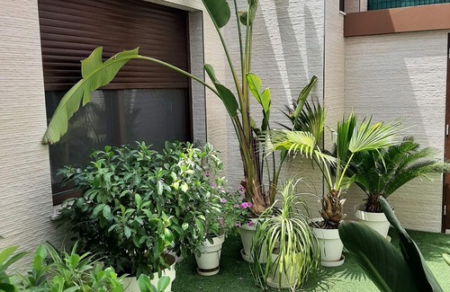 Mislata House | LOVELY DESIGN HOUSE WITH INTERIOR GARDEN.
