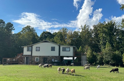 Siler City Cabin | Lovely Farm Cabin Experience