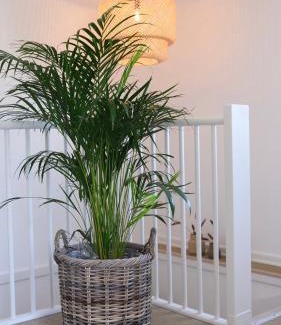 Faaborg Apartment | Lovely home at the foot of the Funen Alps