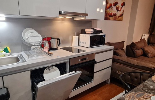 Bagcilar Apartment | lovely one bed room apartment with garden and pool