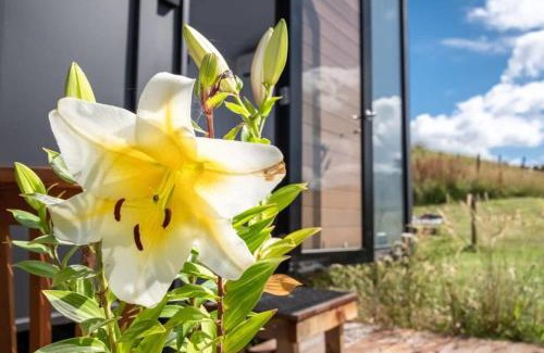 Makarau House | Lower Saddle Views by Tiny Away