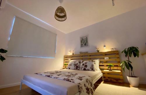 Tirana Apartment | Lucas Central Oasis Studios