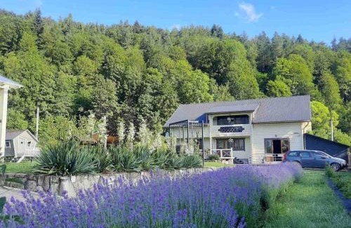 Yaremche Hotel | Lucy