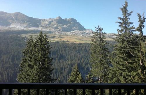 Flaine Apartment | Lumineux 2 Pièces avec Cabine à Flaine Forêt · Balcon Sud · Parking Couvert · Proche Pistes - FR-1-425-149
