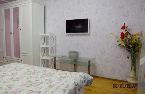 Zarichnyi District Apartment | Lushpy Apartment