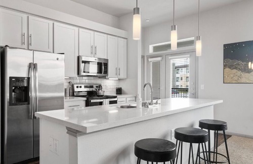 Montopolis Apartment | LUX 2B2B Apt Near Heart of Austin w/Pool & Parking