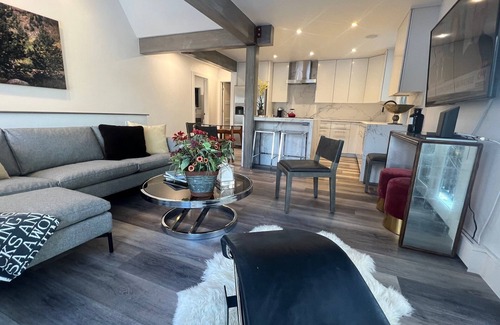 Aspen Condo | Lux condo in core. LG 2BR. Side of mtn, walk to Gondola. New rehab, great views