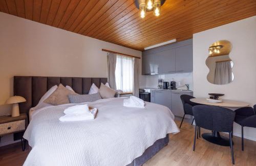 Davos Apartment | Luxe Davos Studio Central Walk to Lifts