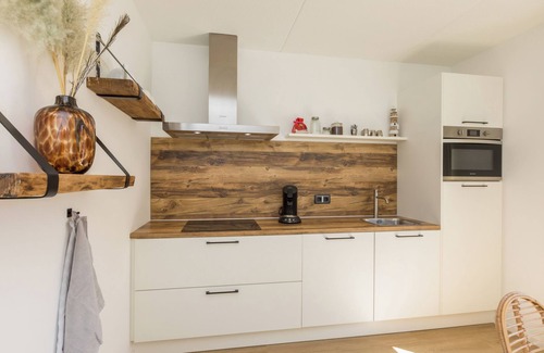 Domburg Ski Chalet | Luxe holidayhome - Brouwersbuurt 23a | Domburg