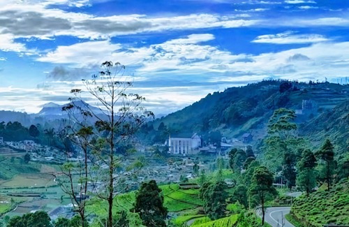 Nuwara Eliya Hotel | Luxe Wilderness