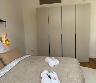 Wiesbaden Apartment | Luxeriöses 3 Zimmer Apartment l Terrasse l Küche l Balkon l Parkplatz l Netflix l 110 m2