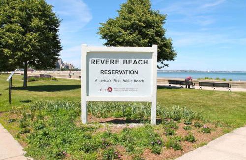 Revere Apartment | Luxurious 1BR, Pool, Gym, nr Blue Line