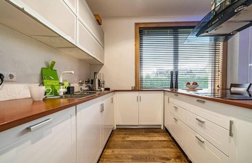 Latgale Suburb Villa | Luxurious Amber Villa With Private Pool and Garden Views