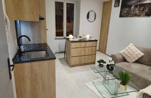 Limoges Apartment | Luxurious apartment 2 steps from the center