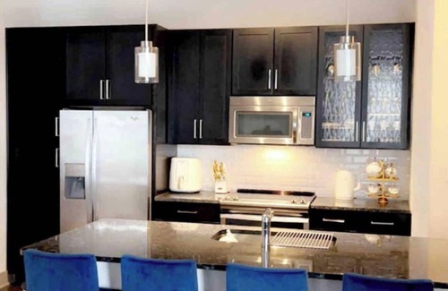 Richardson Apartment | LUXURIOUS APT WITH 2 KING SIZE BED-DOWNTOWN RICHARDSON- FREE PARKING