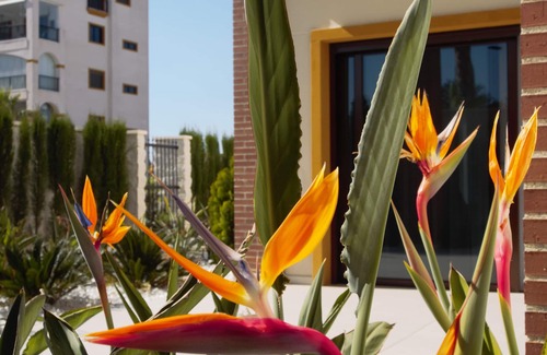 Los Secanos Apartment | Luxurious new apartment with adjacent garden, 277m2, close to the beach