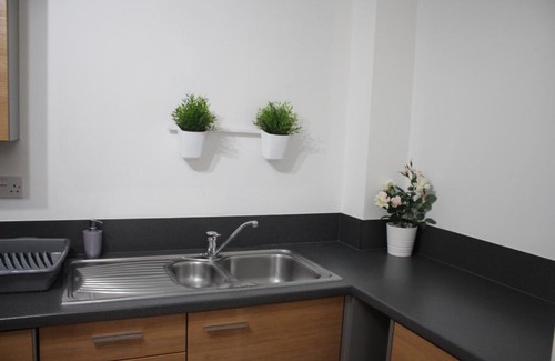 Stratford and New Town Apartment | Luxurious Flat in Centre of London Olympic park, O2, Excel