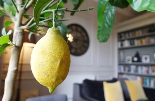 Ballsbridge Apartment | Luxurious Newly Renovated Apartment