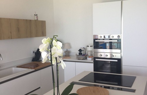 Cros-de-Cagnes Condo | Luxurious waterfront apartment with sea view and mountain view near the racecourse