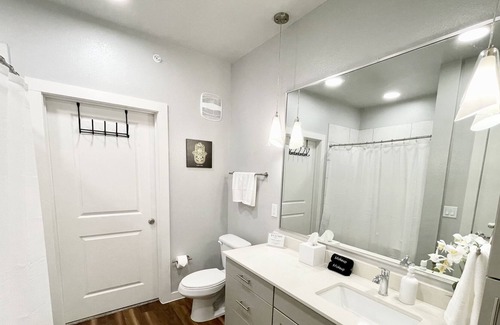 Grand Prairie Apartment | Luxury 1 BR with Pool - Near AT&T, Downtown, DFW