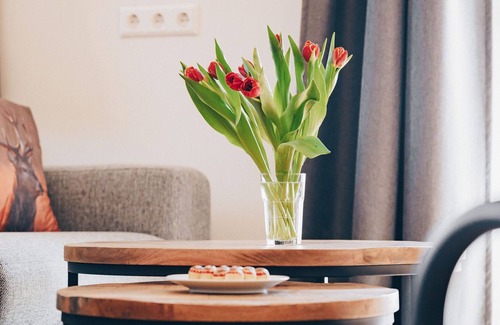 Jenig Apartment | Luxury Apartment Near the ski Area of Nassfeld