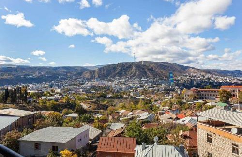 Tbilisi Apartment | Luxury Apartment Aspindza 13