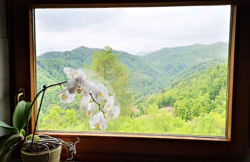 Kambresko Apartment | Luxury apartment in a family country house on top of the hill
