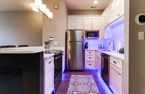 Gravois Park Apartment | Luxury Apt w/Spectrum Mood Lighting - Historic Cherokee Street Antique Row