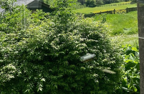 Chazey Heath House | Luxury Chilterns Hideaway, easy access to London